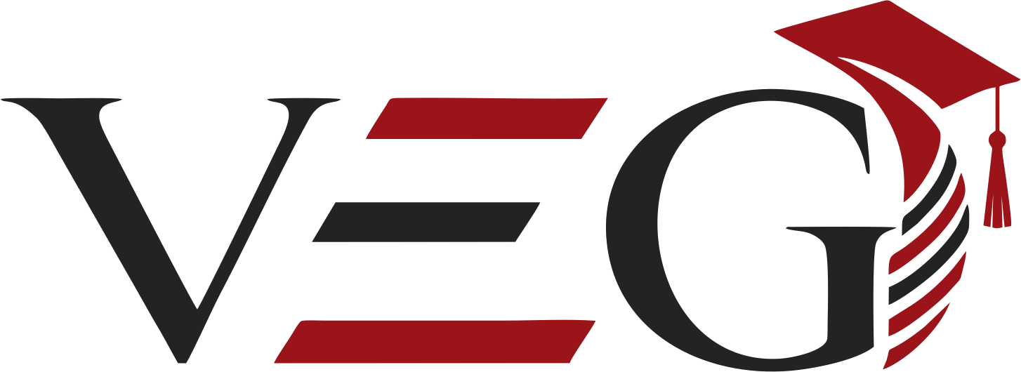 Web Logo VEG 4