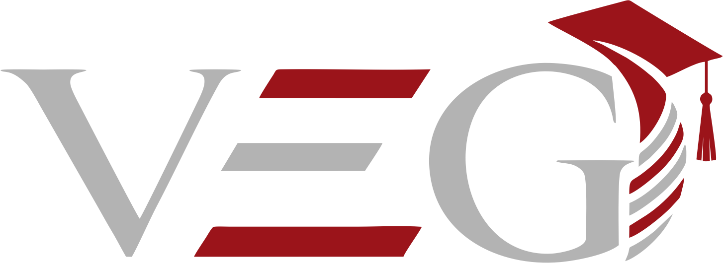 Web Logo VEG 8